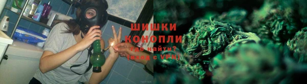 ПСИЛОЦИБИНОВЫЕ ГРИБЫ Корсаков