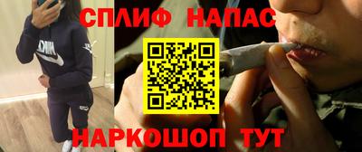 шишки Абакан