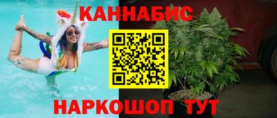 сатива Аргун