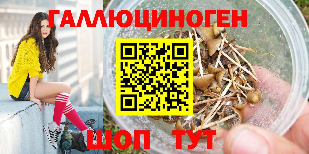 Галлюциногенные грибы Magic Shrooms  Галлюциногенные грибы Psilocybe  Подольск 