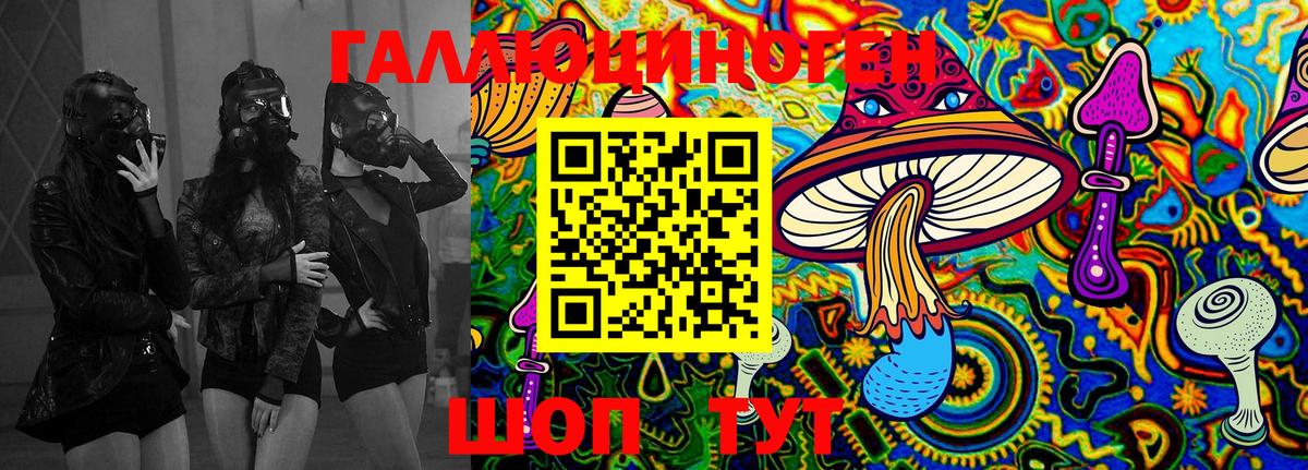 Псилоцибиновые грибы GOLDEN TEACHER Подольск