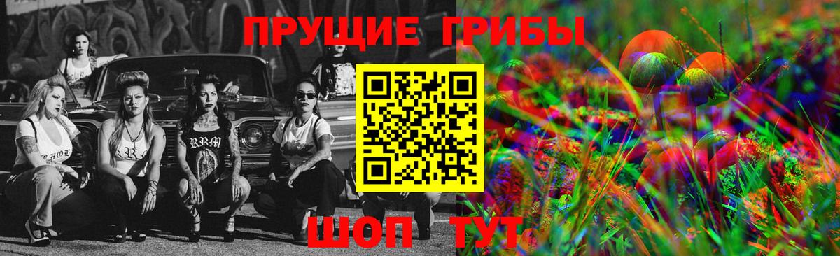 Подольск  Псилоцибиновые грибы Psilocybe  Вход с VPN 